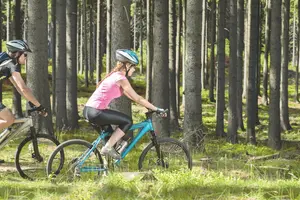 Zwei Mountainbiker fahren durch den grünen Wald. Grünes Gras im Vordergrund, viele Bäume im Hintergrund.
