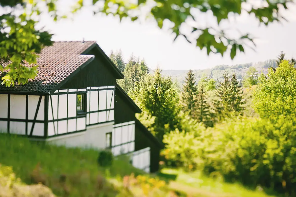 Ferienhaus Ahorn mit Blick auf die grünen Wälder der Vulkaneifel