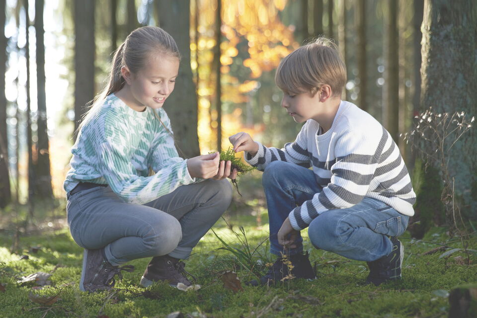 Zwei Kinder knien im Wald und begutachten das Moos
