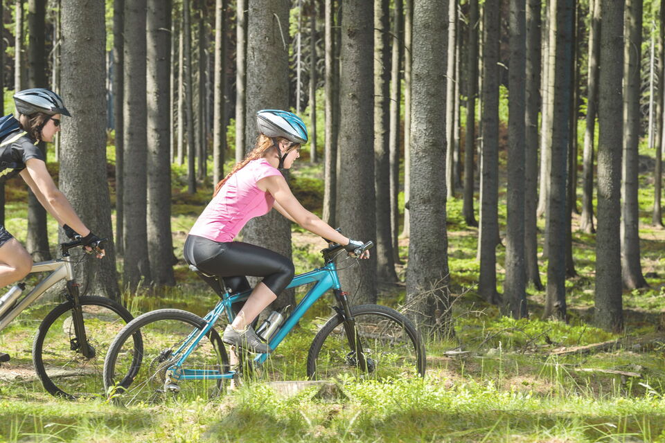 Fahrradfahrer fahren mit Ihren Rädern durch den Wald