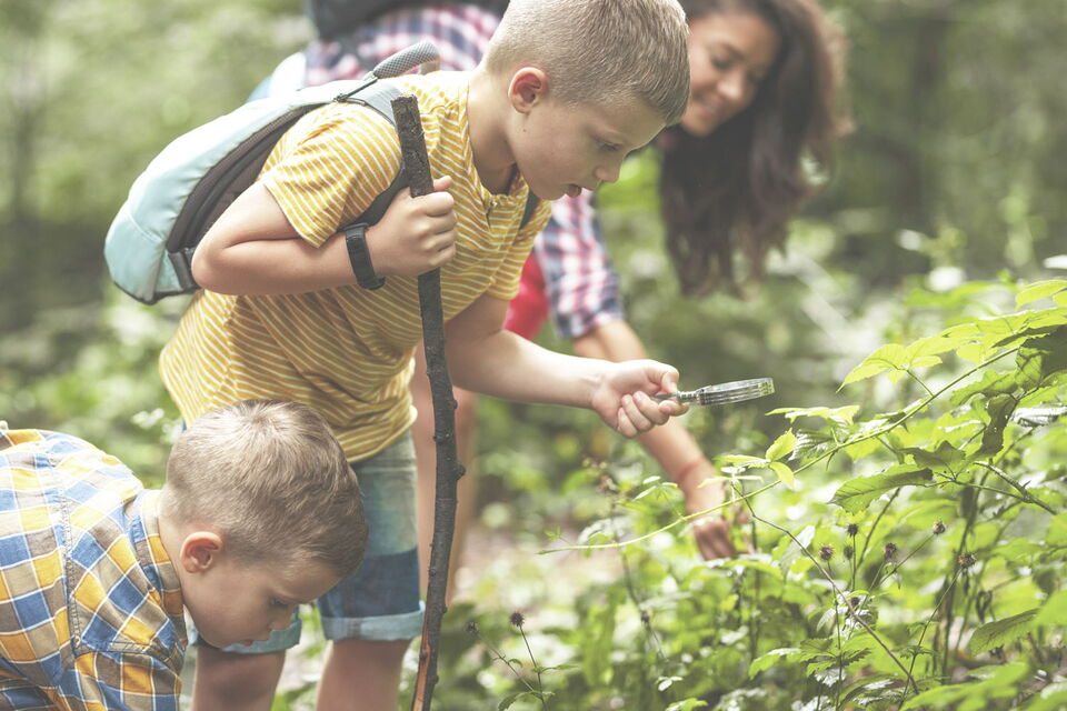 Kinder entdecken die Natur bei einem Spaziergang vom Sporthotel Grafenwald in den Wald